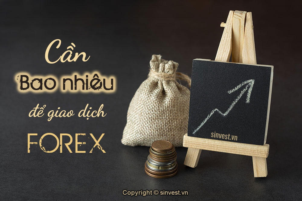Tôi cần bao nhiêu tiền để giao dịch Forex